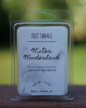 Load image into Gallery viewer, **Wax Melts